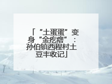 “土蛋蛋”变身“金疙瘩”：孙伯镇西程村土豆丰收记
